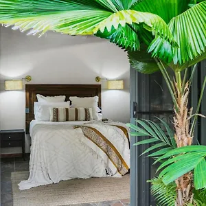https://the-jade-pavilion-couples-and-digital-nomads.queenslandhotels.net
